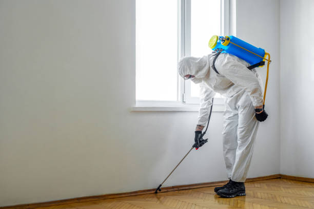 Emergency Pest Control in Eureka, CA